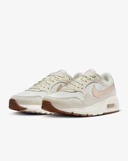 Кроссовки женские Nike Air Max SC CW4554-118