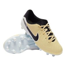 Бутсы детские Nike JR Tiempo Legend 10 Academy FG/MG DV4348-700