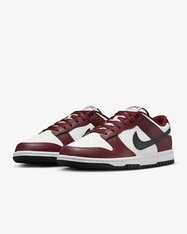 Кеды Nike Dunk Low FZ4616-600