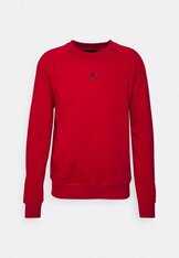 Реглан Jordan Dri-Fit Sport DV1286-687