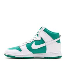 Кеди Nike Dunk High Retro DV0829-300