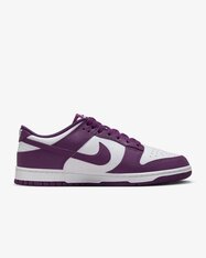 Кеди Nike Dunk Low Retro DV0833-107