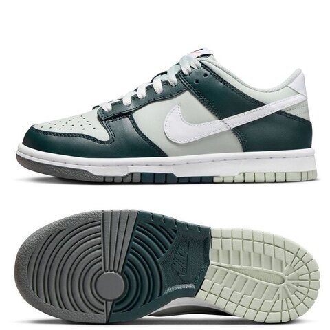 Кеды детские Nike Dunk Low FB9109-300