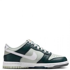 Кеды детские Nike Dunk Low FB9109-300