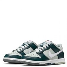 Кеды детские Nike Dunk Low FB9109-300