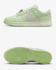 Кеды женсккие Nike Dunk Low Next Nature SE FN6344-001