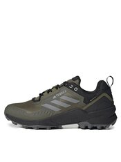 Кросівки бігові Adidas Terrex Swift R3 Gore-Tex HR1312