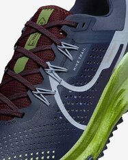 Кросівки бігові Nike React Pegasus Trail 4 DJ6158-403