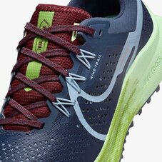 Кросівки бігові жіночі Nike Pegasus Trail 4 DJ6159-403