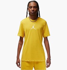 Футболка Jordan Jumpman Dri-FIT CW5190-752