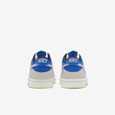 Кеди дитячі Nike Dunk Low FB9109-103