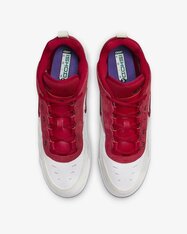 Кросівки Nike Air Max Ishod FB2393-100