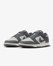 Кросівки Nike Dunk Low Next Nature FZ4621-001