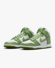 Кроссовки Nike Dunk High Retro DV0829-101