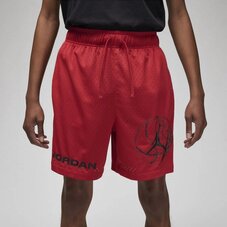 Шорти Jordan Dri-FIT Sport BC Mesh DZ0569-687