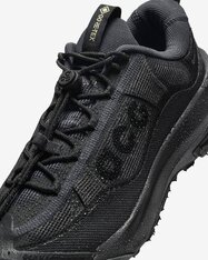 Кросівки Nike ACG Mountain Fly 2 Low GORE-TEX HF6245-001