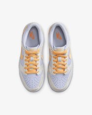 Кроссовки детские Nike Dunk Low FB9109-100