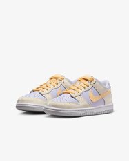 Кроссовки детские Nike Dunk Low FB9109-100