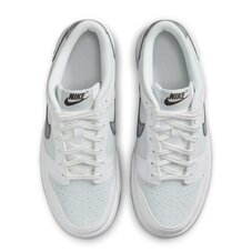 Кроссовки детские Nike Dunk Low FV0365-100