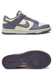 Кросівки жіночі Nike Dunk Low Next Nature Daybreak FZ4349-100