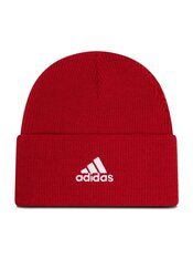 Шапка Adidas FC Bayern Beanie FS0192