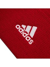 Шапка Adidas FC Bayern Beanie FS0192