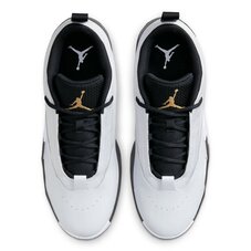 Кросівки Jordan Max Aura 6 FQ8298-101