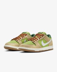 Кросівки Nike SB Dunk Low Pro FQ7585-200