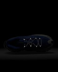 Кросівки Nike Zoom Vomero Roam FV2295-400