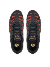 Кроссовки Nike Air Max Plus Drift FD4290-010