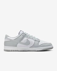 Кросівки Nike Dunk Low Retro HF5441-105
