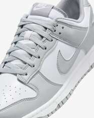 Кросівки Nike Dunk Low Retro HF5441-105