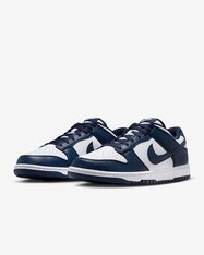 Кросівки Nike Dunk Low Retro HF5441-107