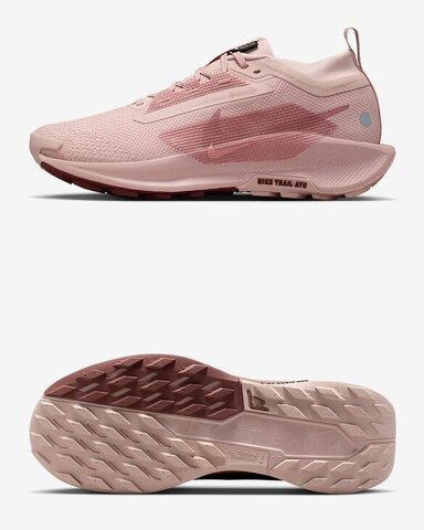 Кросівки бігові жіночі Nike Pegasus Trail 5 GORE-TEX FQ0912-601