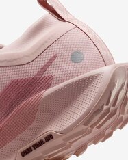 Кросівки бігові жіночі Nike Pegasus Trail 5 GORE-TEX FQ0912-601