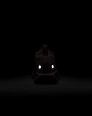 Кросівки бігові жіночі Nike Pegasus Trail 5 GORE-TEX FQ0912-601