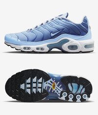 Кроссовки женские Nike Air Max Plus FJ4736-400