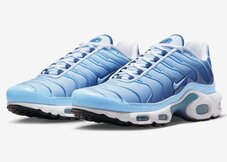 Кроссовки женские Nike Air Max Plus FJ4736-400