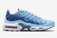 Кроссовки женские Nike Air Max Plus FJ4736-400
