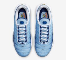 Кроссовки женские Nike Air Max Plus FJ4736-400