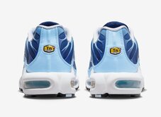 Кроссовки женские Nike Air Max Plus FJ4736-400