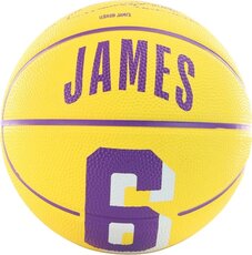 М'яч для баскетболу Wilson NBA Player Icon Mini WZ4007201XB3