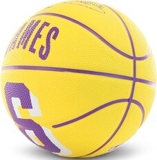 М'яч для баскетболу Wilson NBA Player Icon Mini WZ4007201XB3