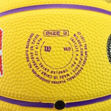 М'яч для баскетболу Wilson NBA Player Icon Mini WZ4007201XB3