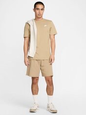 Футболка Nike Sportswear Club AR4997-297