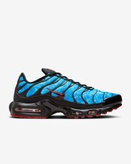 Кросівки Nike Air Max Plus HQ3824-001
