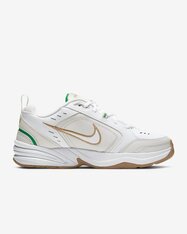 Кросівки Nike Air Monarch IV 415445-103