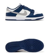 Кроссовки Nike Dunk Low Summit FD9749-400
