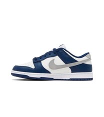 Кроссовки Nike Dunk Low Summit FD9749-400