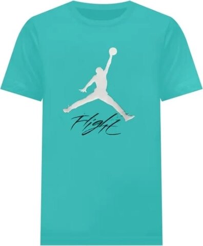 Футболка Jordan Jumpman Flight AO0664-392